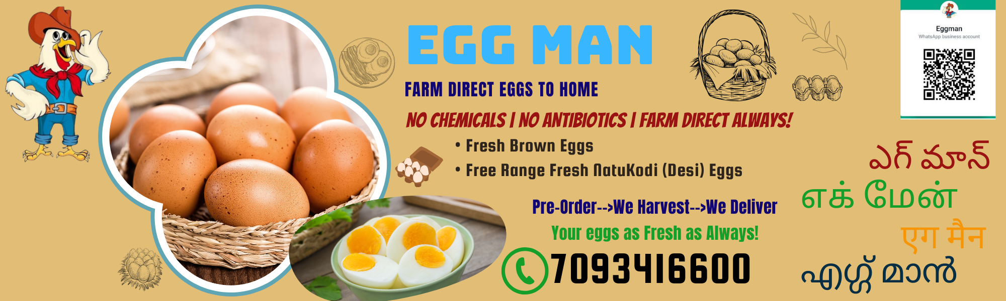 Egg Man